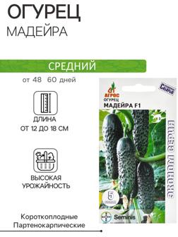 Семена Огурец