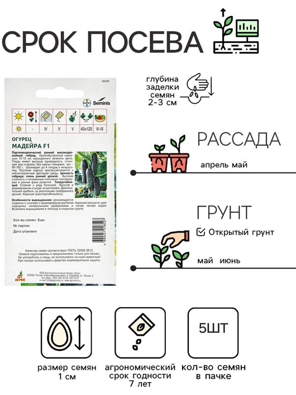 Семена Огурец