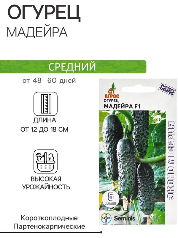 Семена Огурец