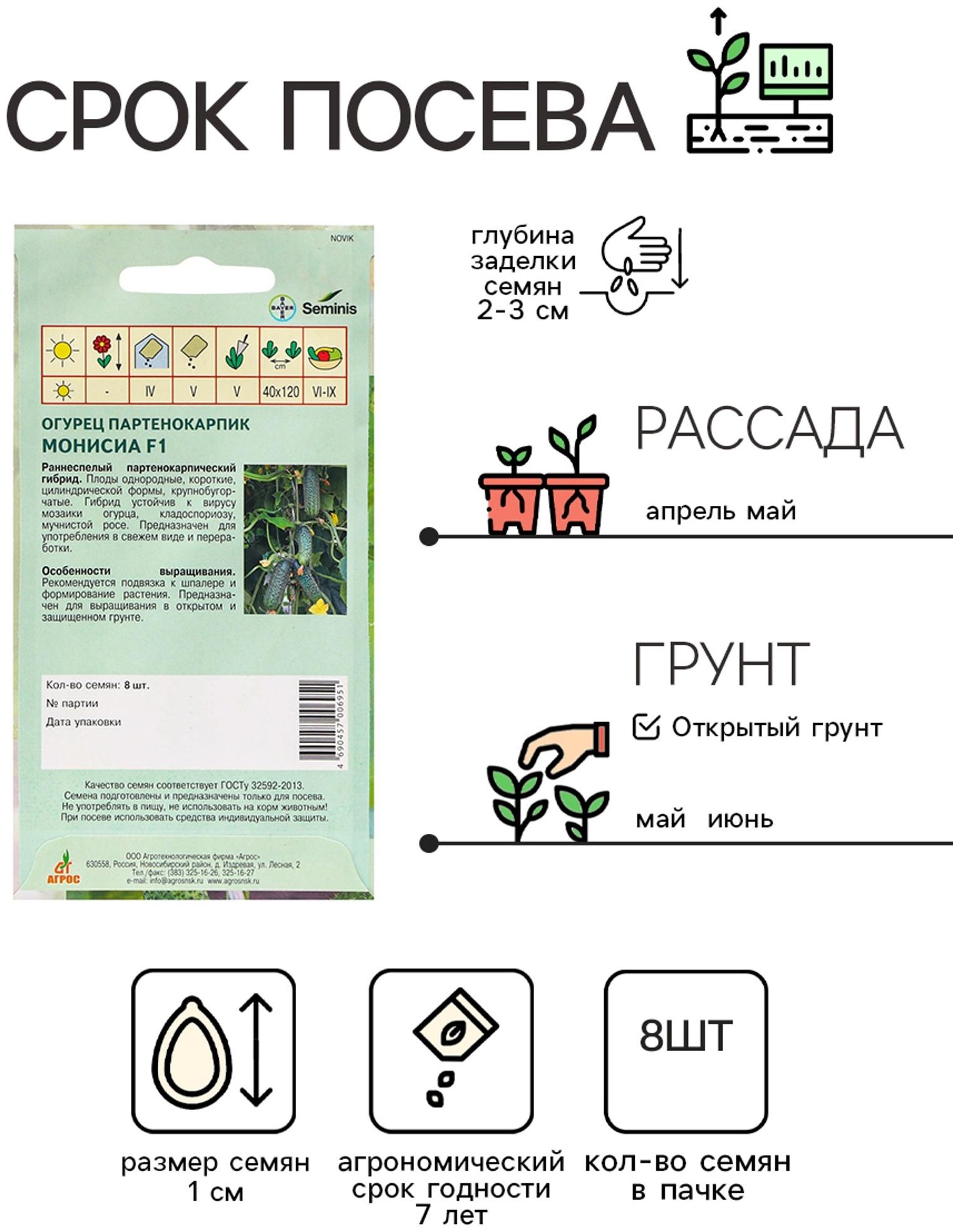 Семена Огурец