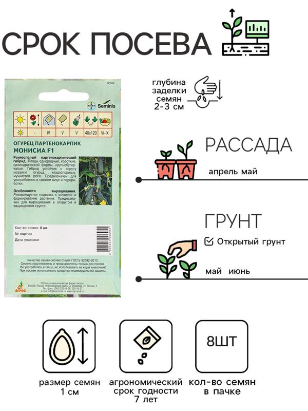 Семена Огурец