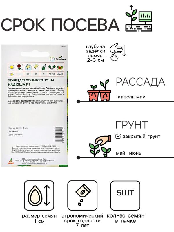 Семена Огурец