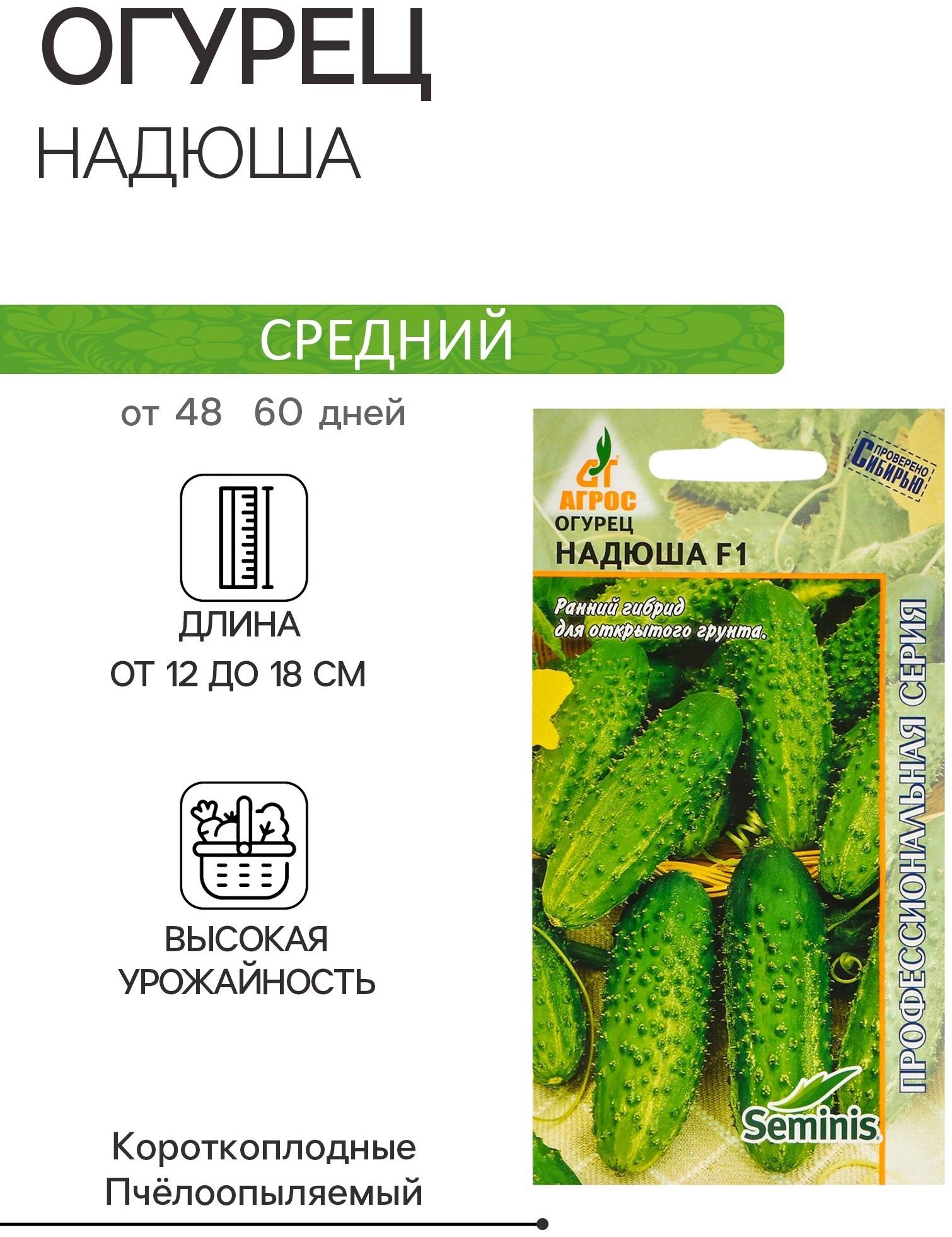 Семена Огурец