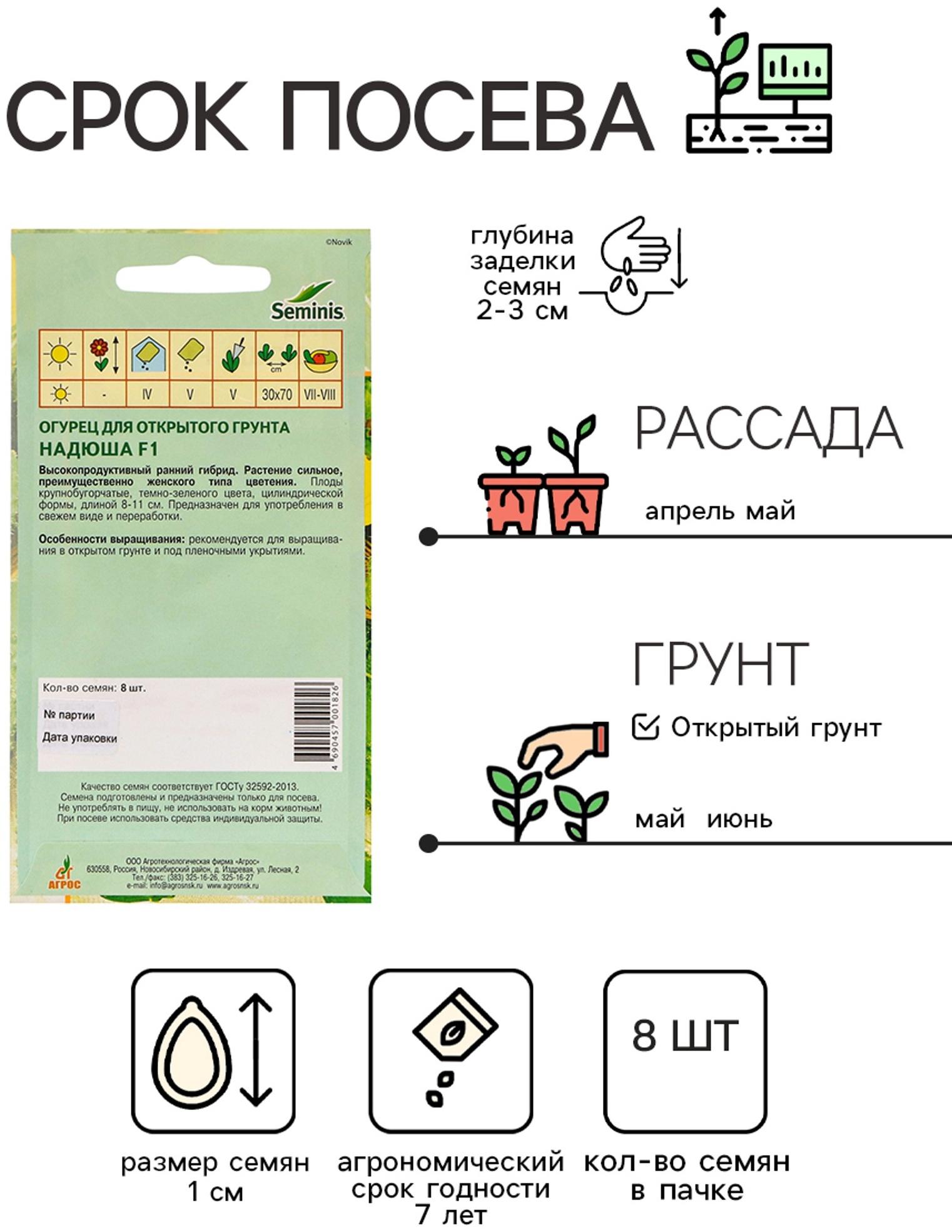 Семена Огурец