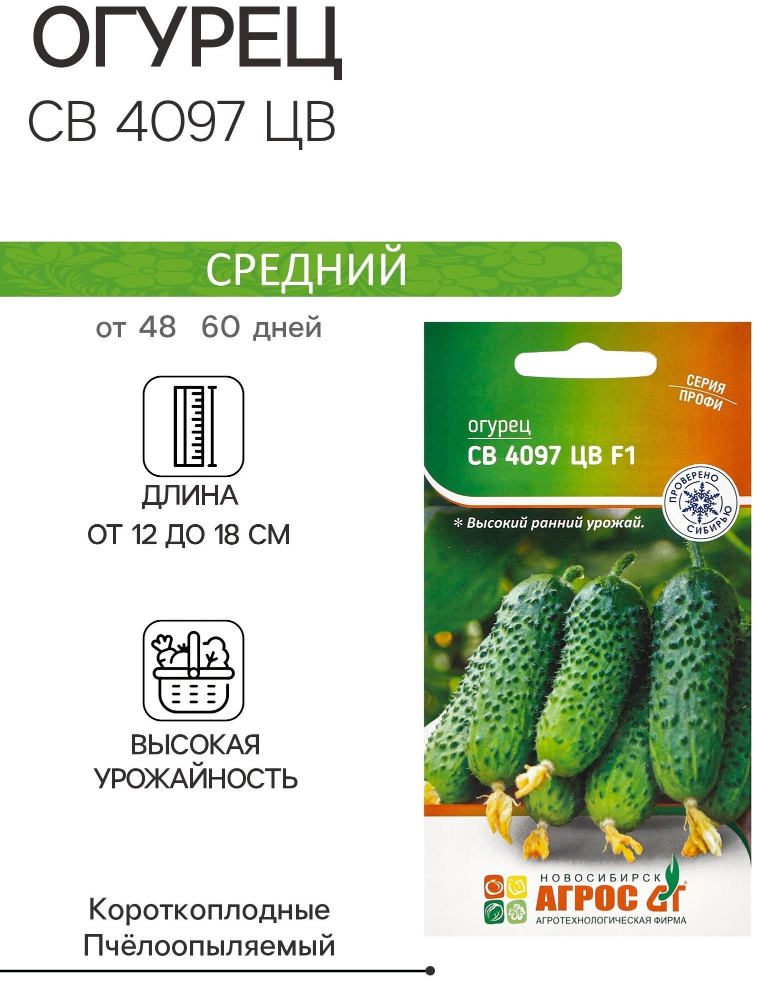 Семена Огурец