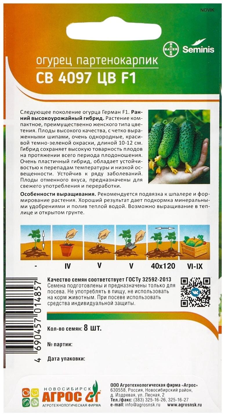 Семена Огурец