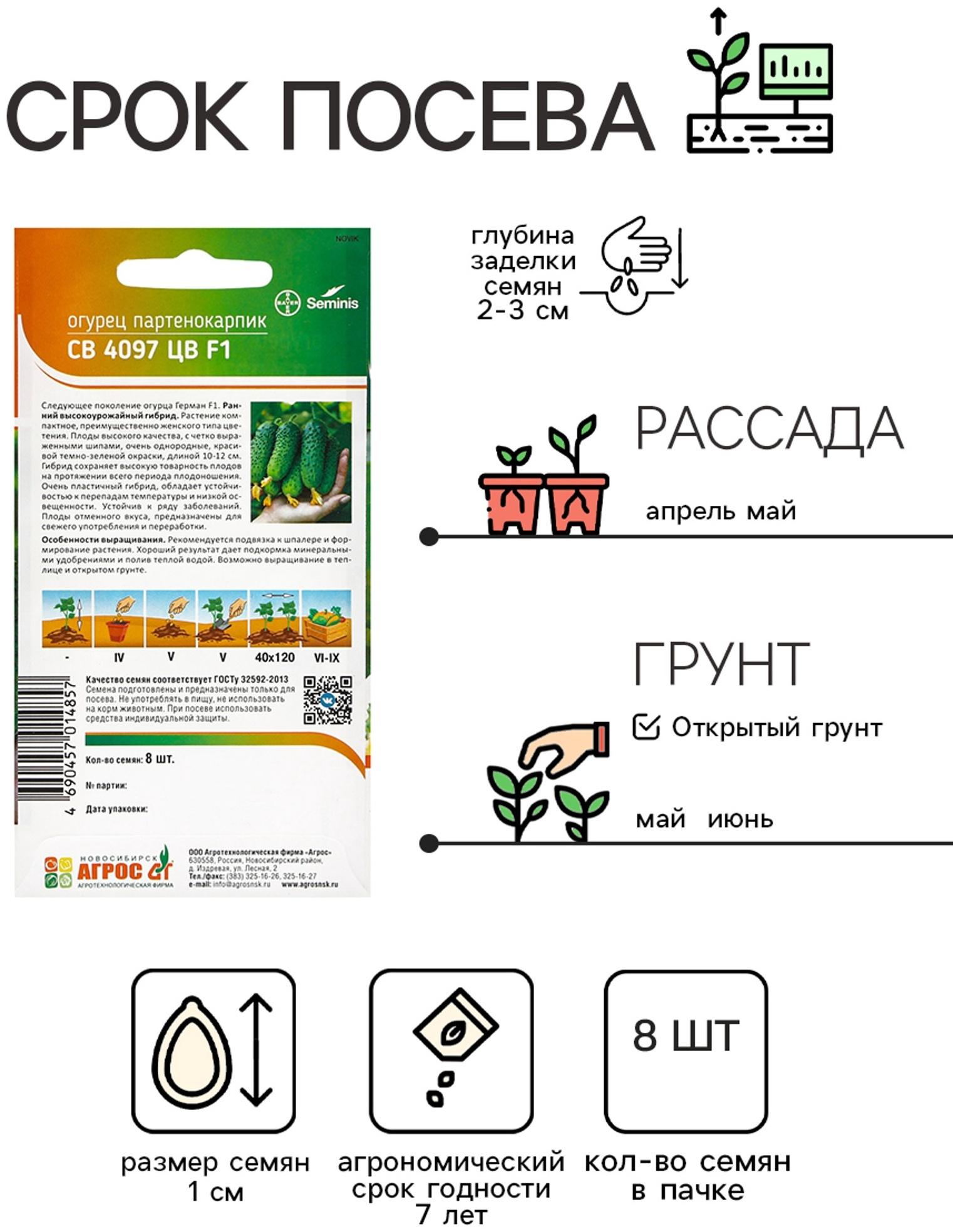 Семена Огурец