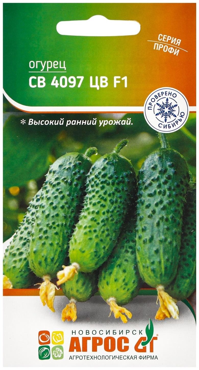 Семена Огурец