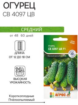 Семена Огурец