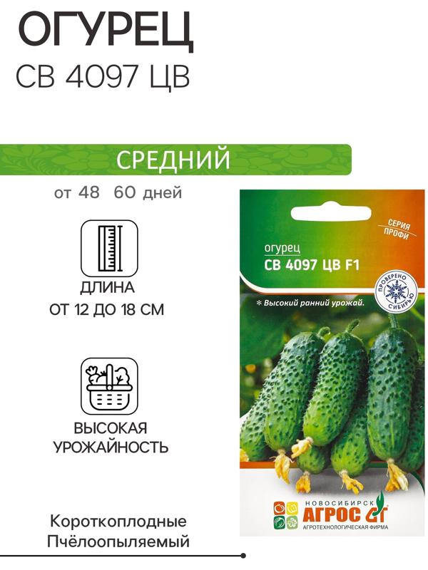 Семена Огурец