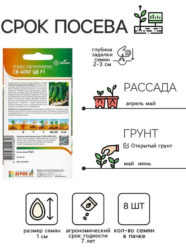 Семена Огурец