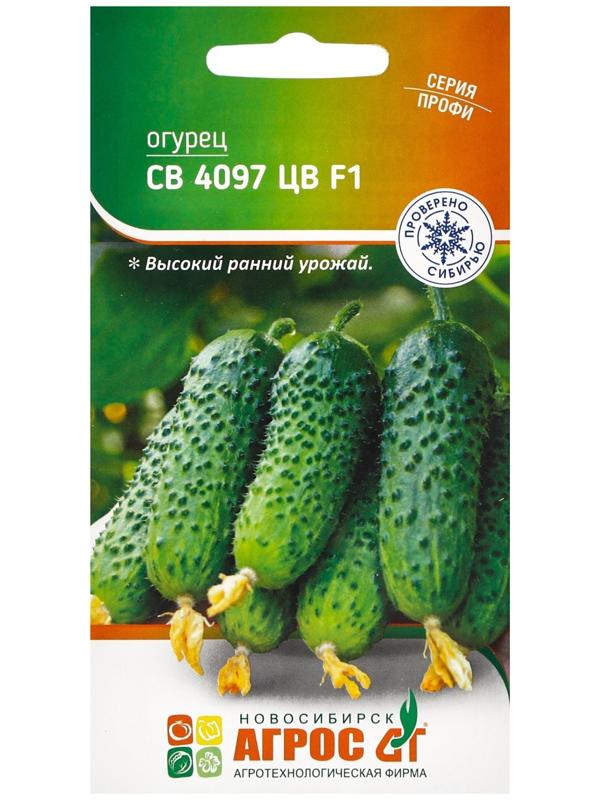 Семена Огурец