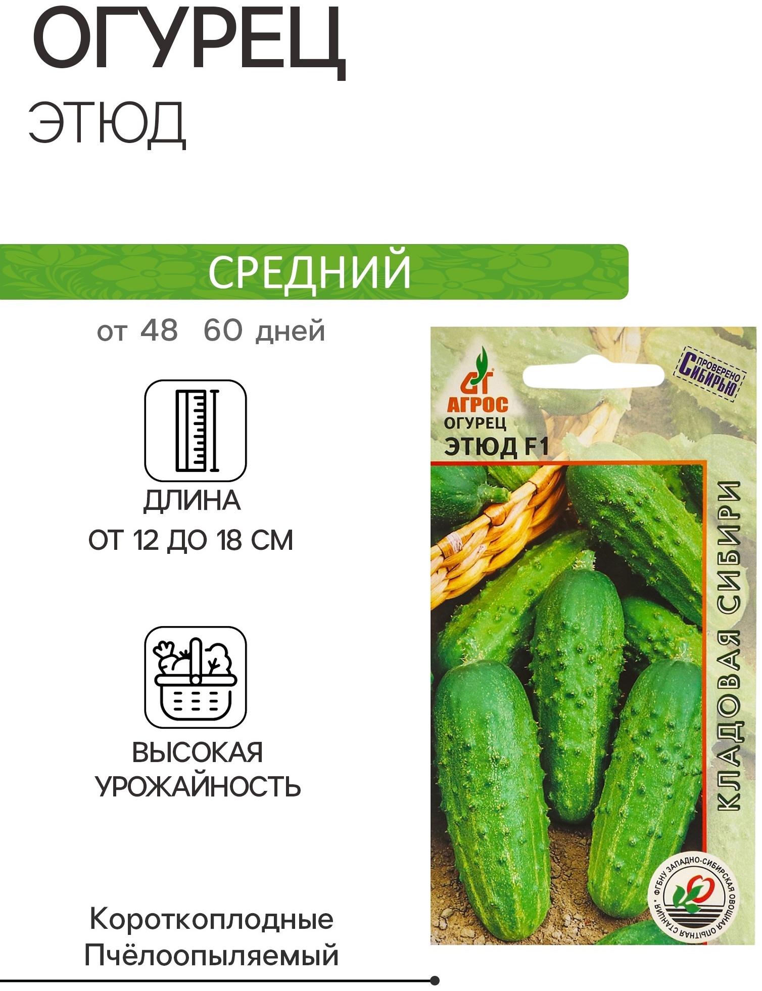 Семена Огурец