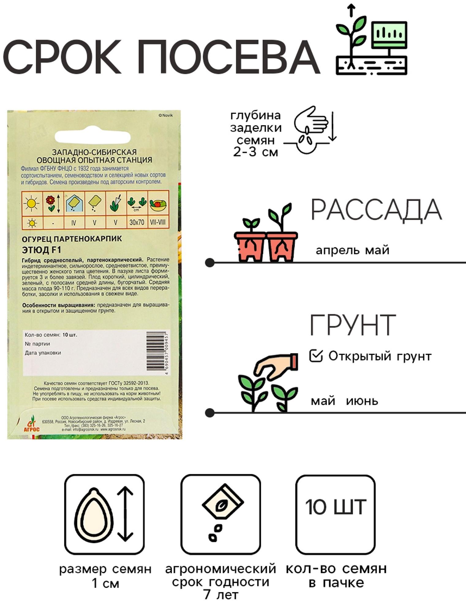 Семена Огурец