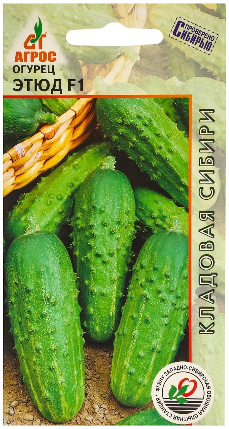 Семена Огурец