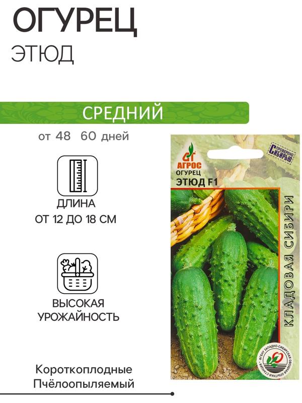 Семена Огурец