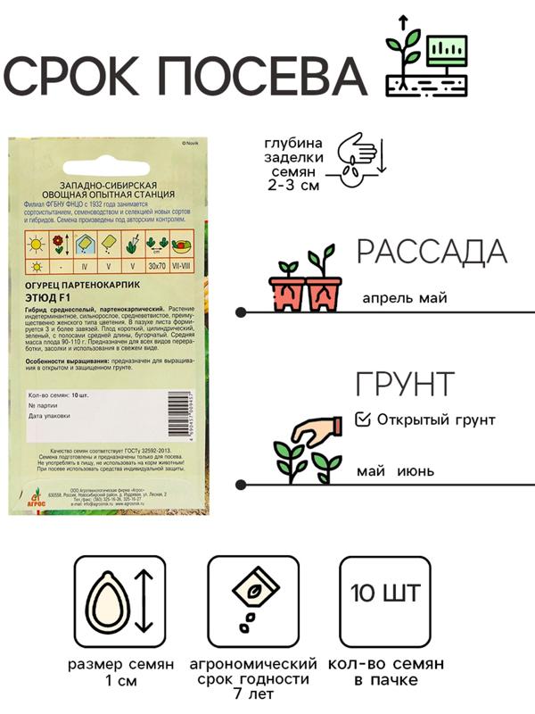 Семена Огурец