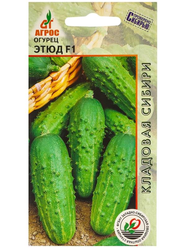 Семена Огурец