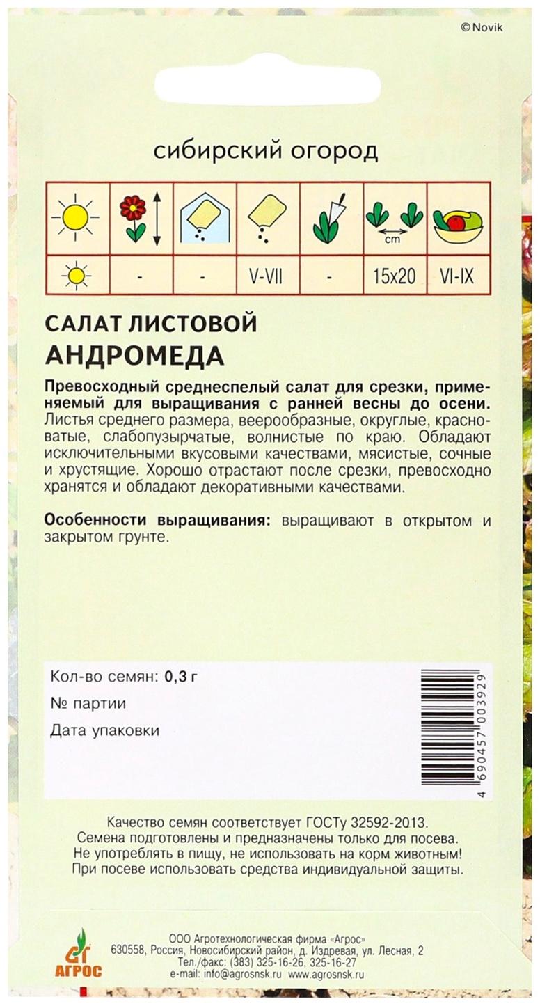 Семена Салат