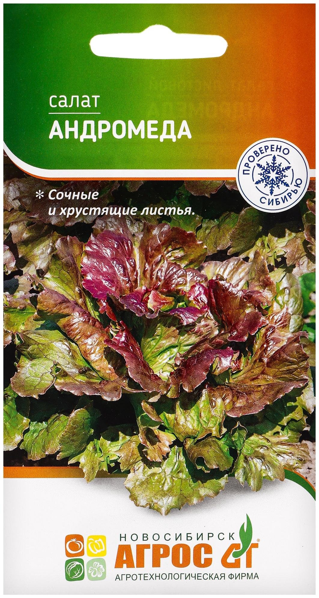 Семена Салат