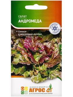 Семена Салат