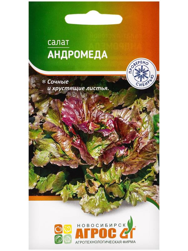 Семена Салат