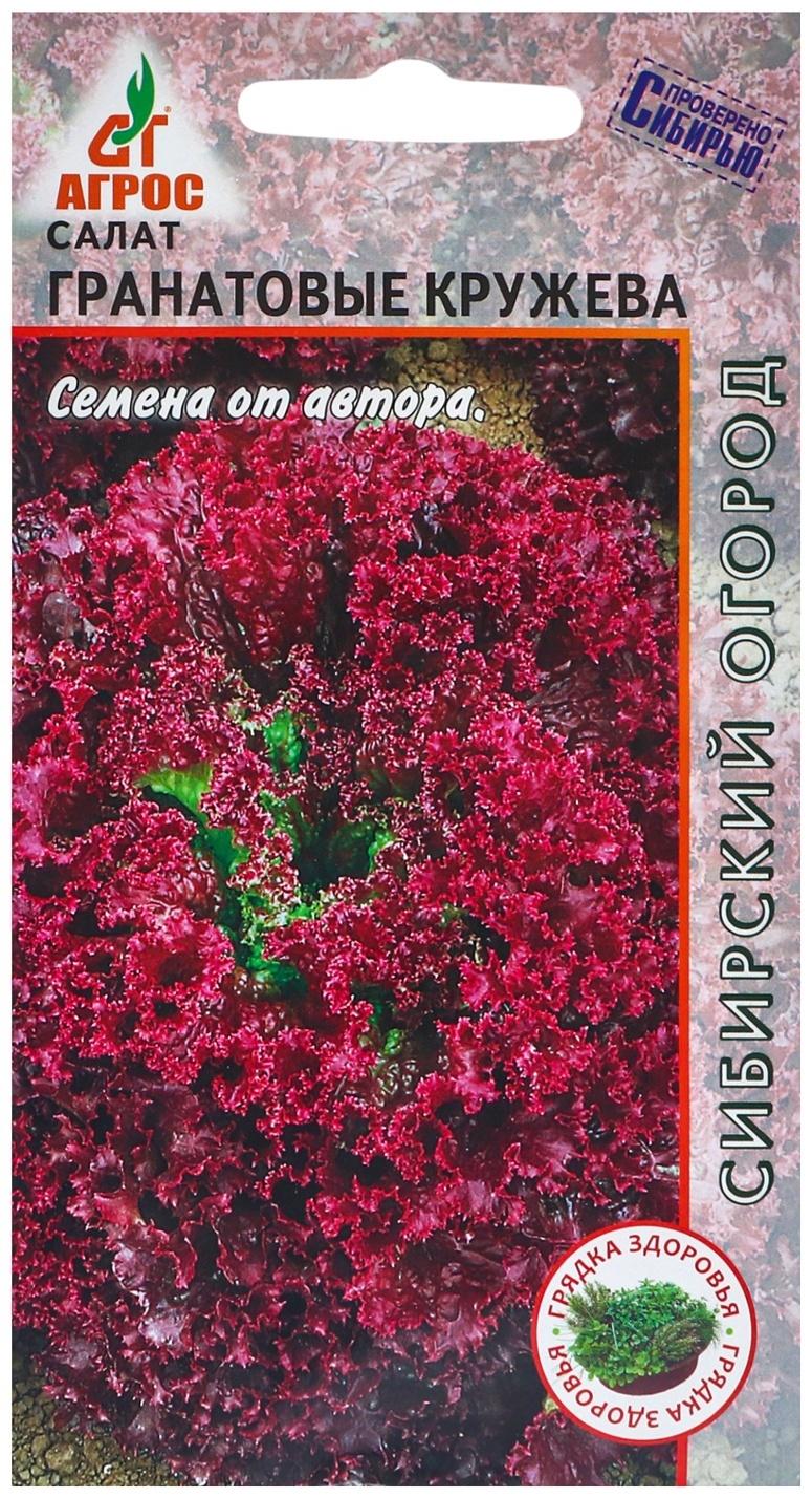 Семена Салат