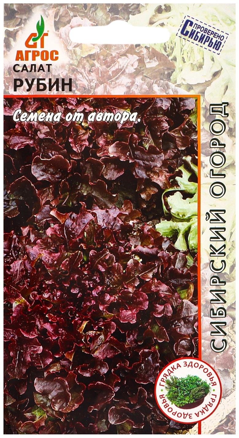 Семена Салат