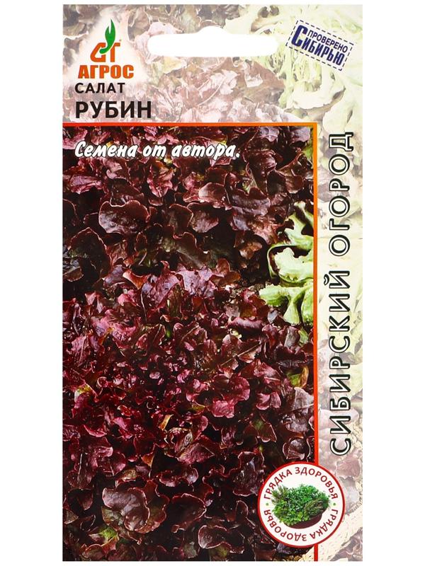 Семена Салат