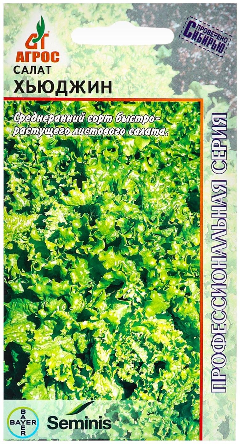 Семена Салат