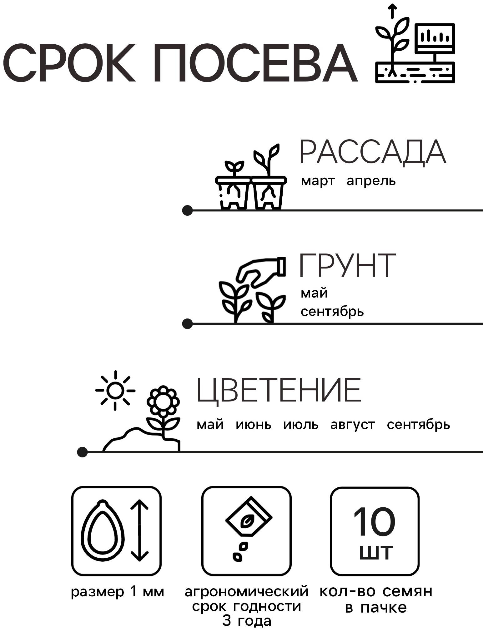 Семена Алиссум Истер Бонет Вайт 10шт*