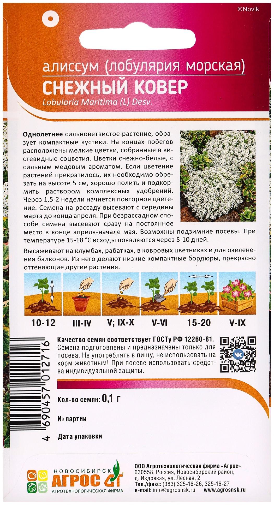 Семена цветов Алиссум «Снежный ковёр» 0.1 г