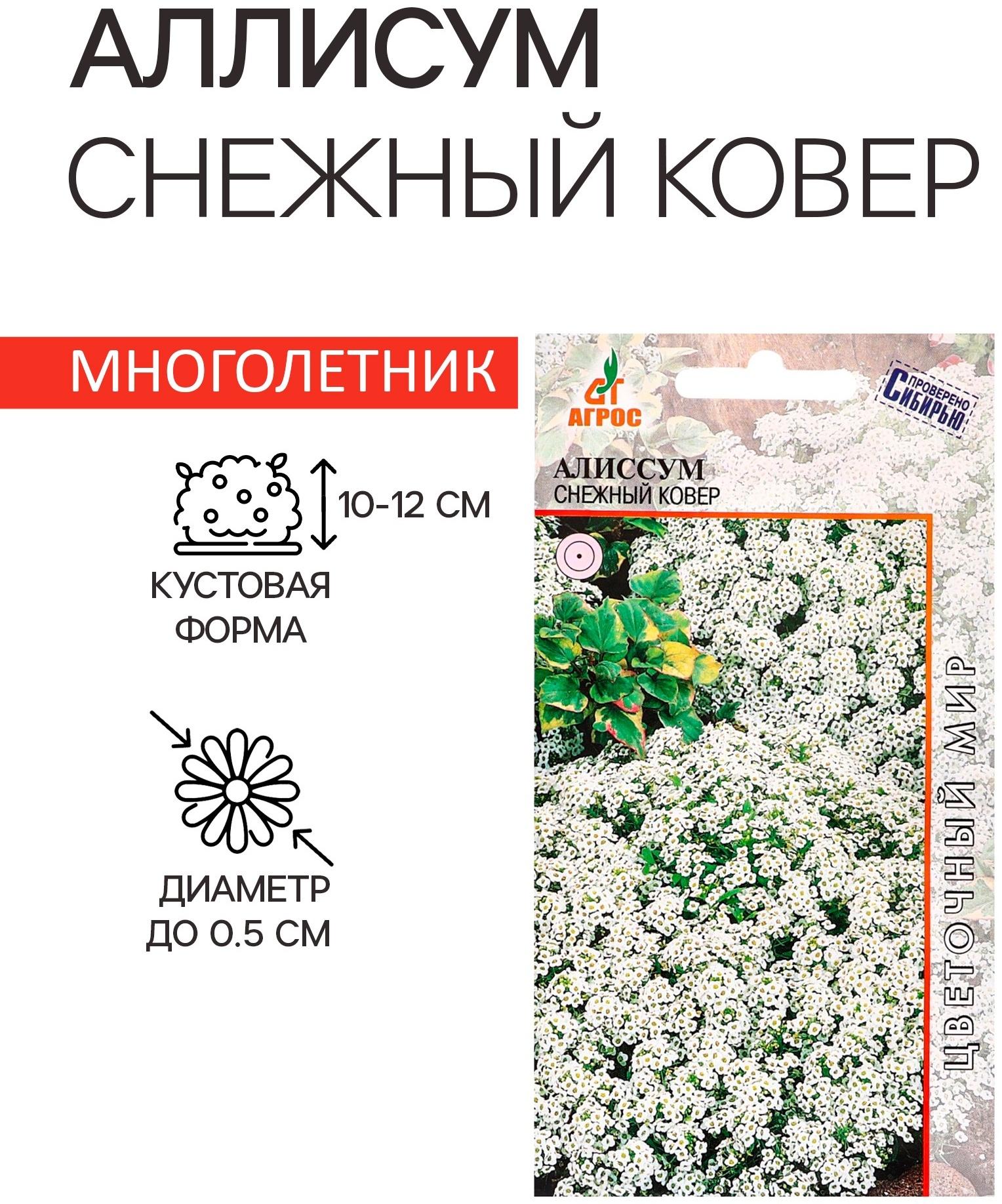 Семена цветов Алиссум «Снежный ковёр» 0.1 г