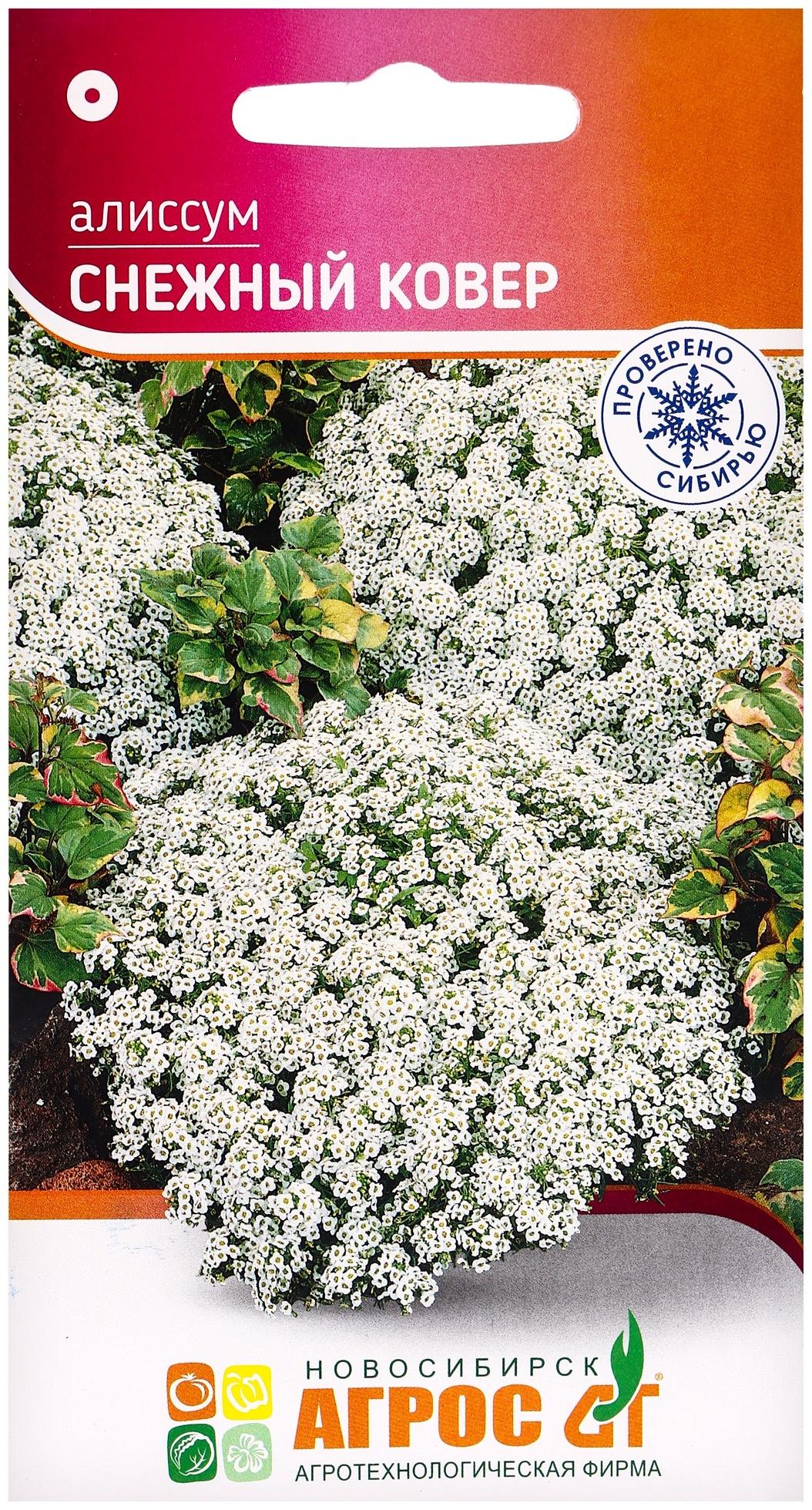 Семена цветов Алиссум «Снежный ковёр» 0.1 г