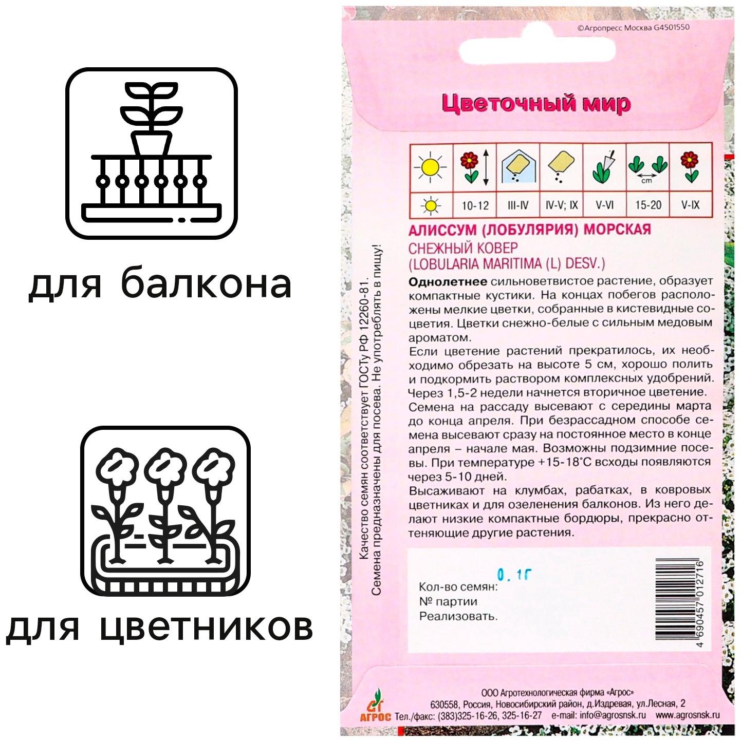 Семена цветов Алиссум «Снежный ковёр» 0.1 г