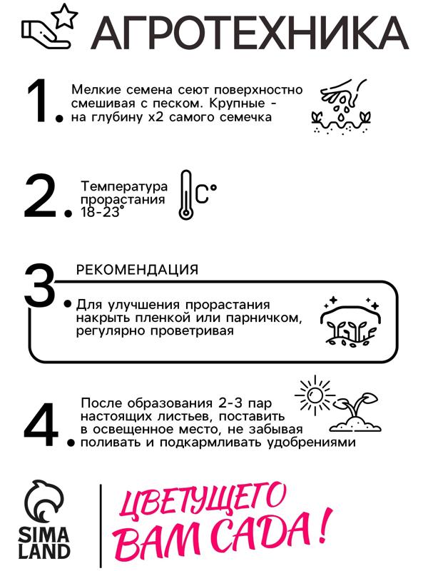 Семена цветов Алиссум «Снежный ковёр» 0.1 г