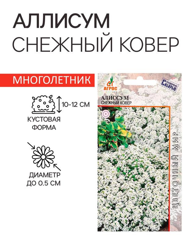 Семена цветов Алиссум «Снежный ковёр» 0.1 г