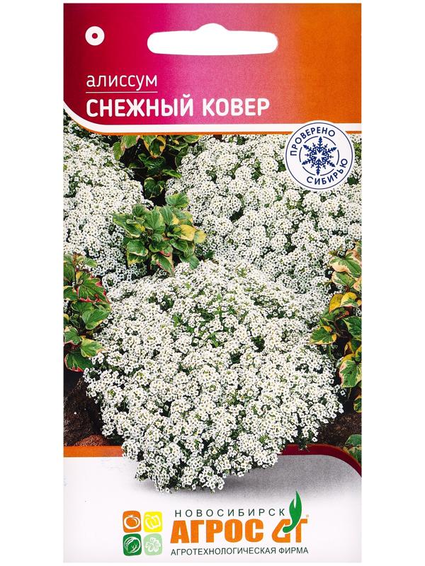 Семена цветов Алиссум «Снежный ковёр» 0.1 г