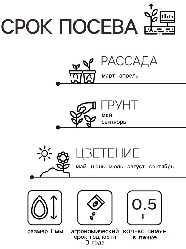 Семена цветов Алиссум «Снежный ковёр» 0.1 г