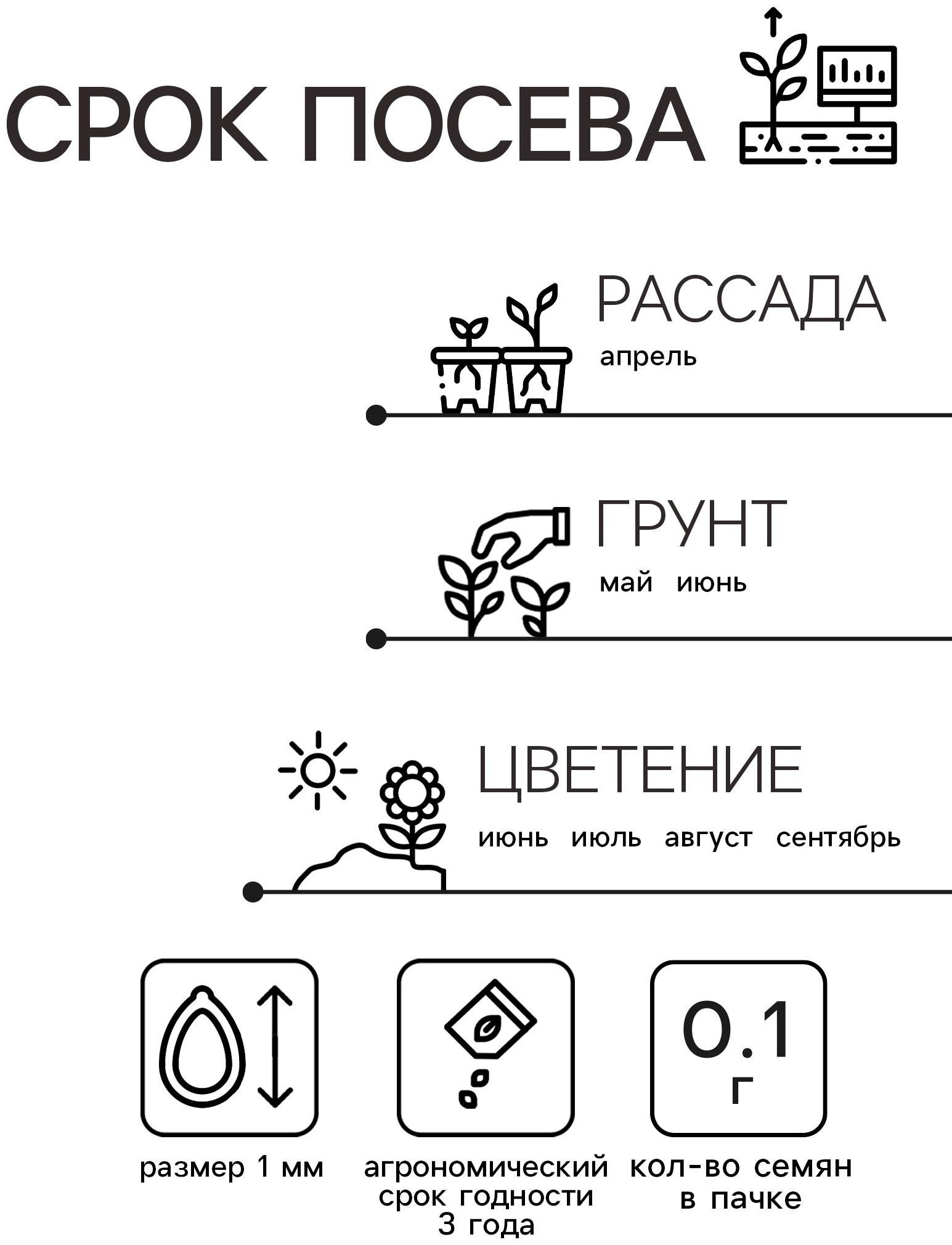 Семена Амарант Метельчатый Пигми Торч 0.1г*