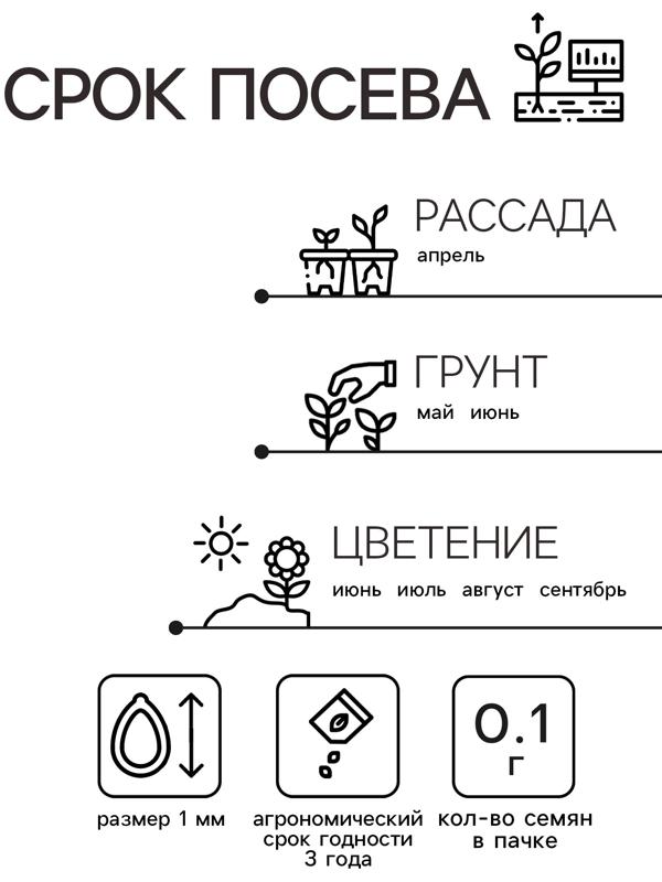 Семена Амарант Метельчатый Пигми Торч 0.1г*