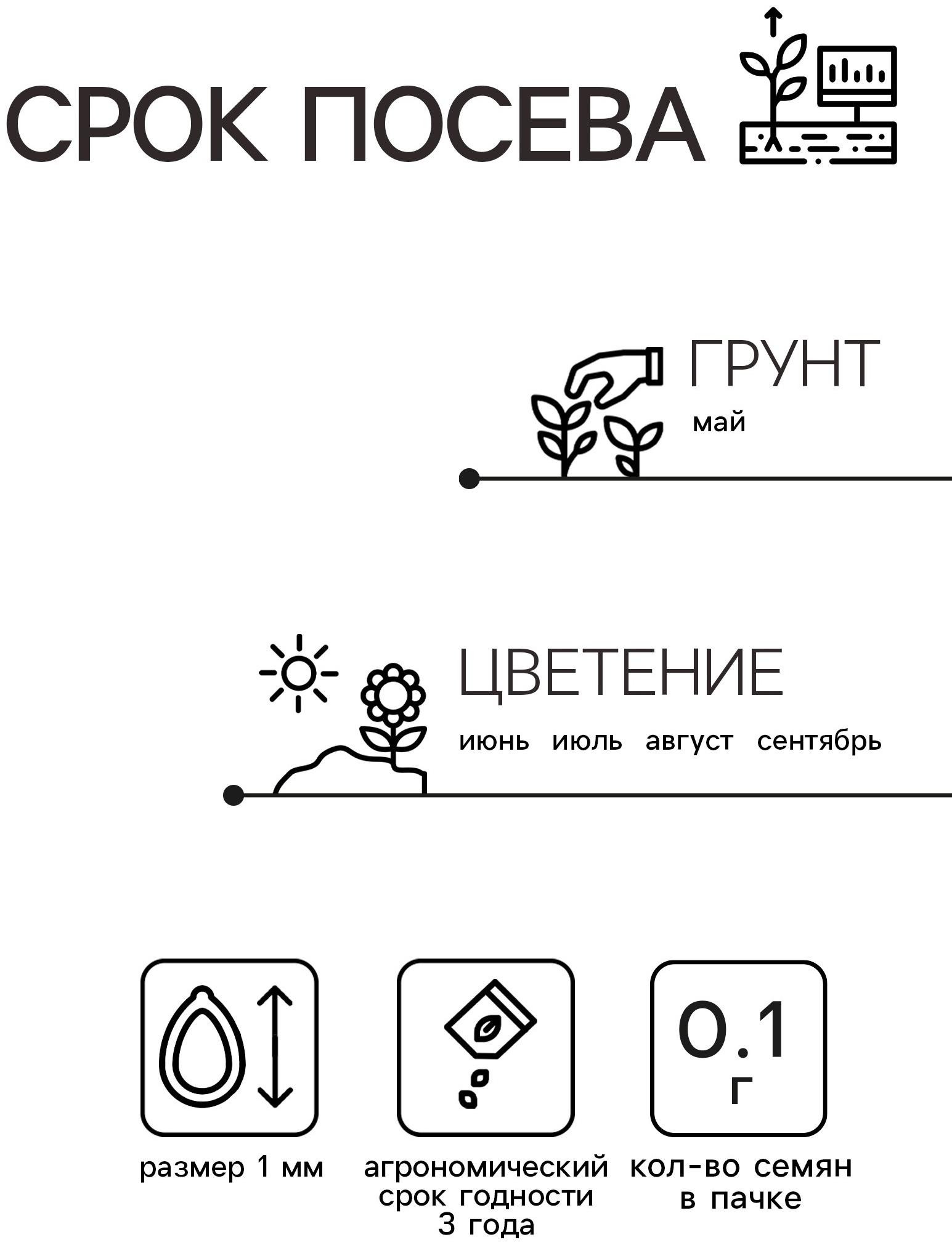 Семена Амарант Хвостатый зеленый 0.1г*