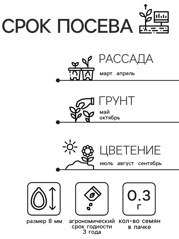 Семена Астра Аполлония Блю 0.3г*