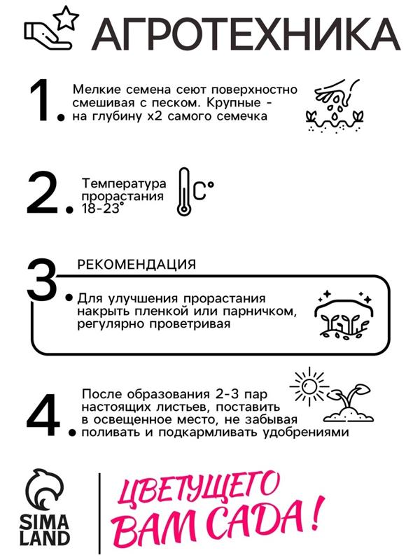 Семена Астра Аполлония Блю 0.3г*