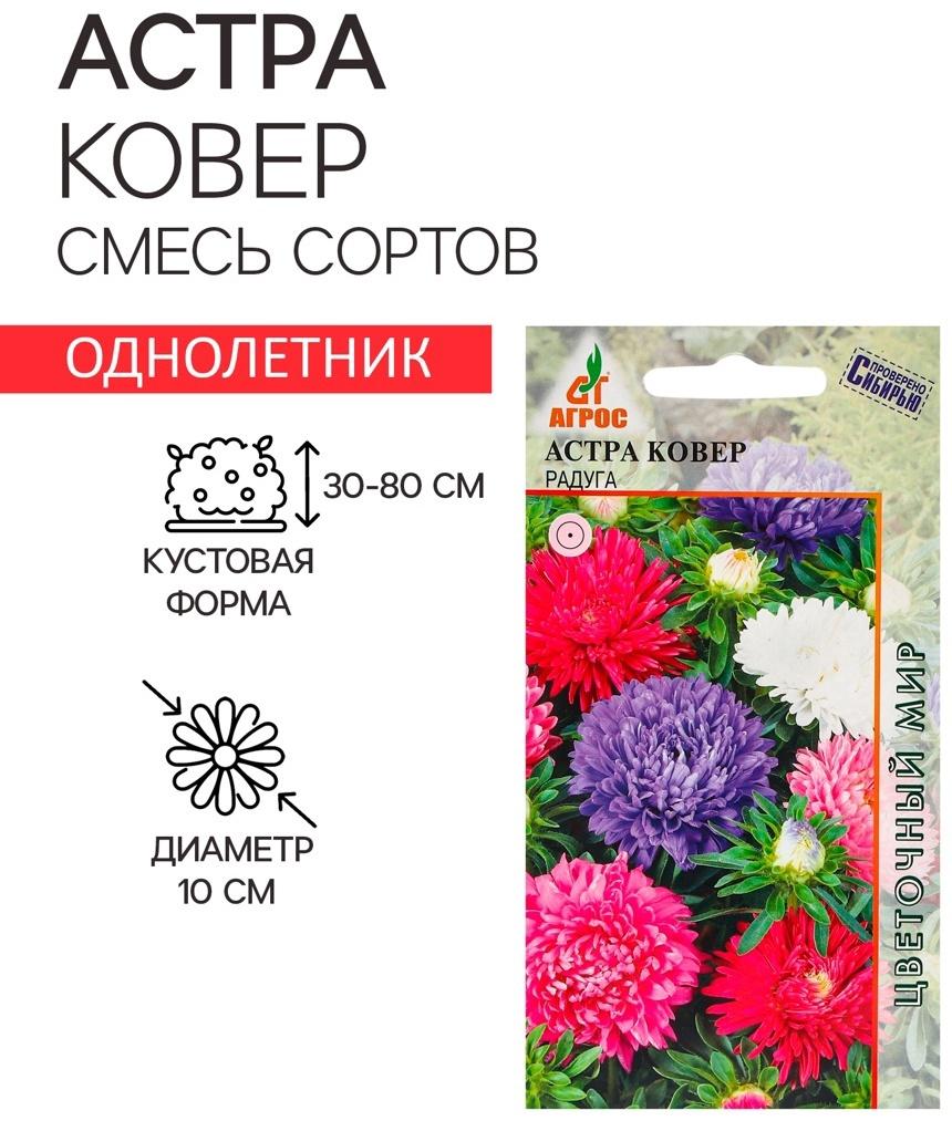 Семена Астра Ковёр Радуга 0.3г*