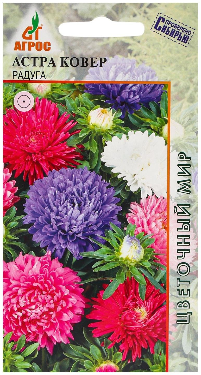 Семена Астра Ковёр Радуга 0.3г*