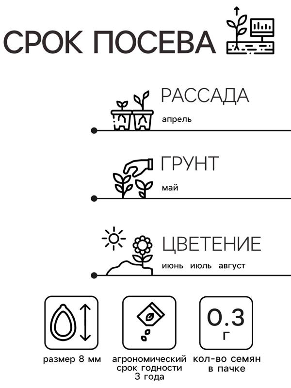 Семена Астра Принцесса Корина 0.3г*