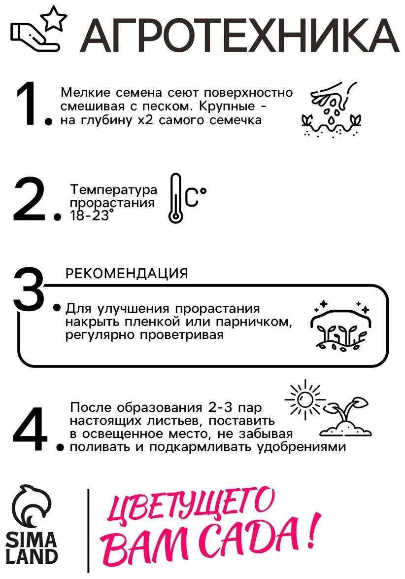 Семена Астра Принцесса Кристина 0.3г*