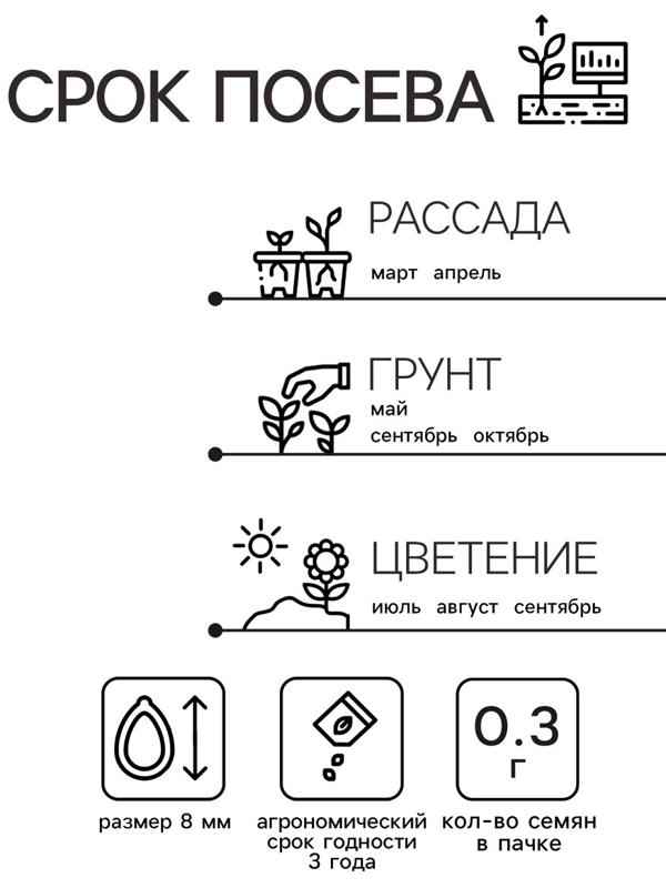 Семена Астра Принцесса Кристина 0.3г*