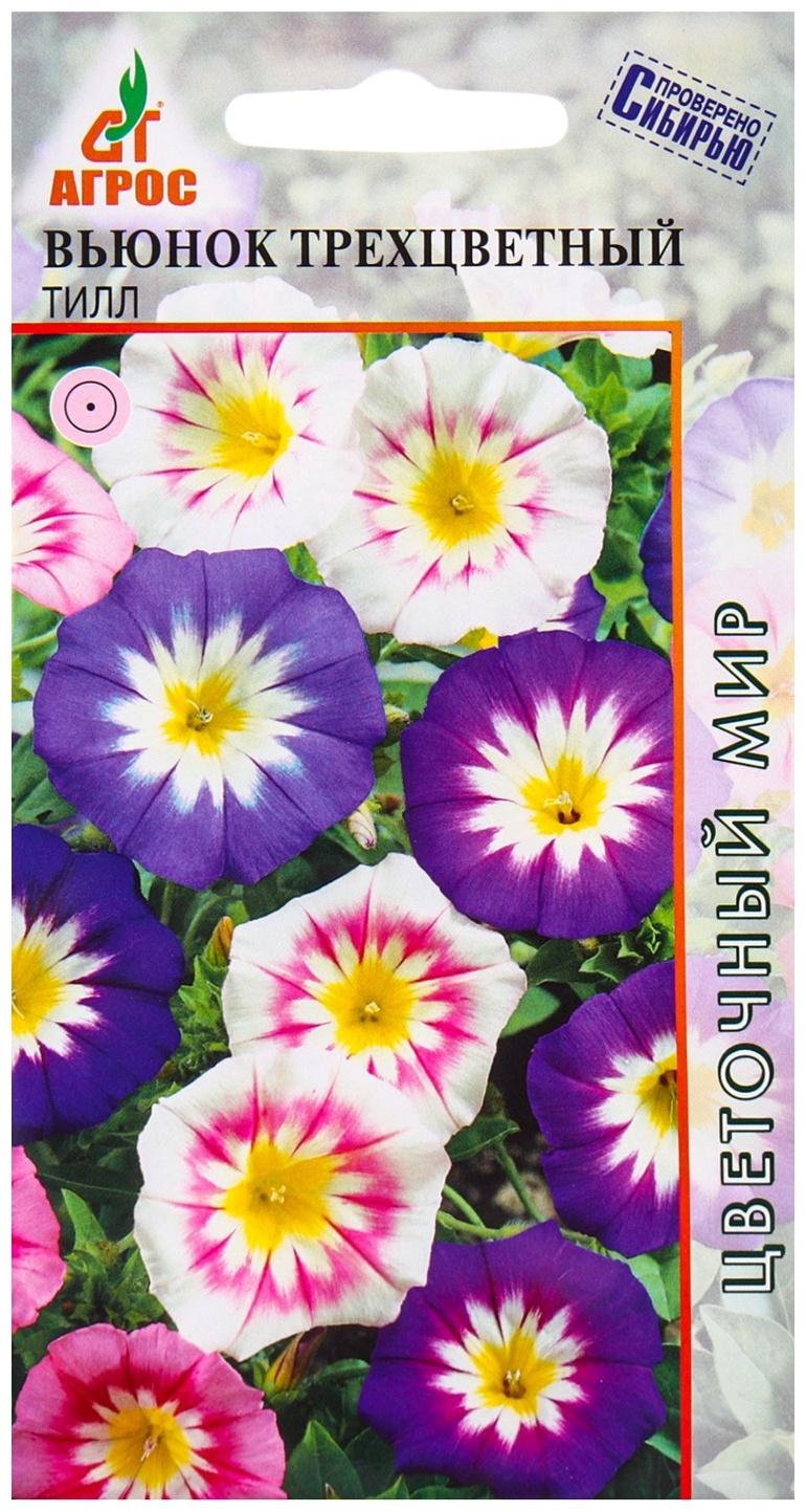 Семена Вьюнок трехцветный Тилл 0.5г*
